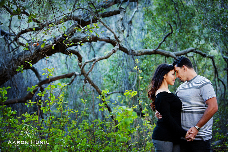 San_Diego_Wedding_Photographer_Best_of_2013_Engagement_Session_Aaron_Huniu_Photography_50