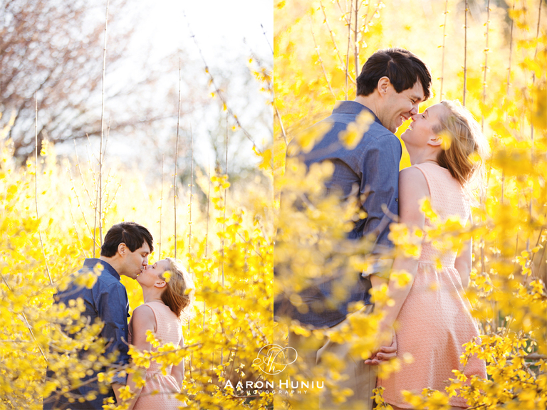 Boston_Engagement_Session_Arnold_Arboretum_Liane_Michael_07