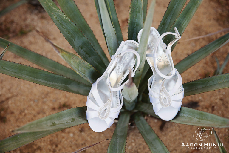 Cabo_San_Lucas_Wedding_Pueblo_Bonito_Sunset_Beach_Destination_Wedding_Photographer_Morris_005