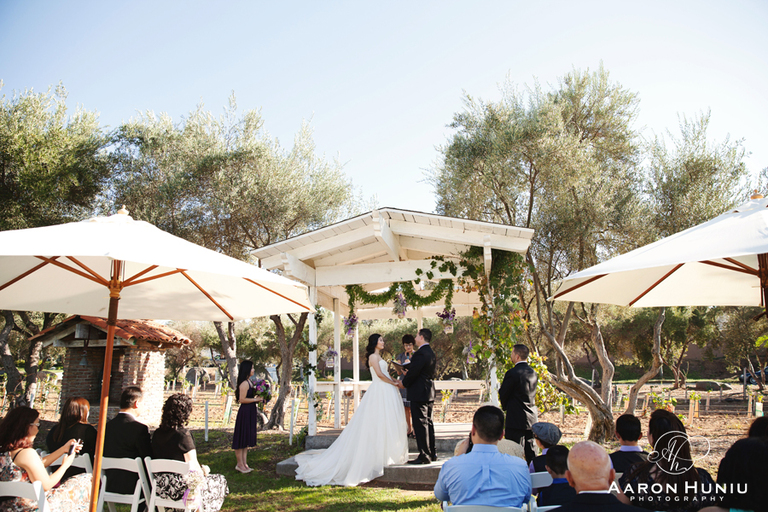 Bernardo_Winery_Wedding_Photographer_Rancho_Bernardo_San_Diego_Linn_19