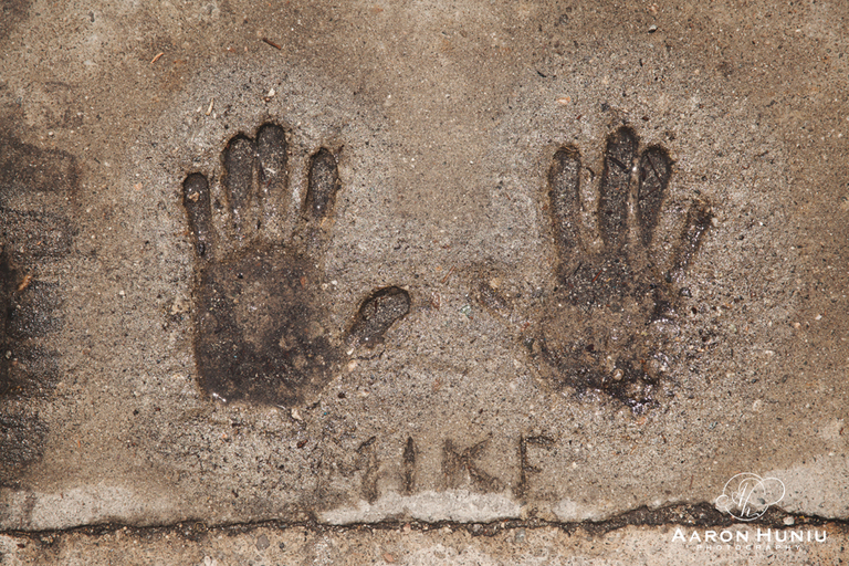 Capital_Auto_Parts_Huniu_035