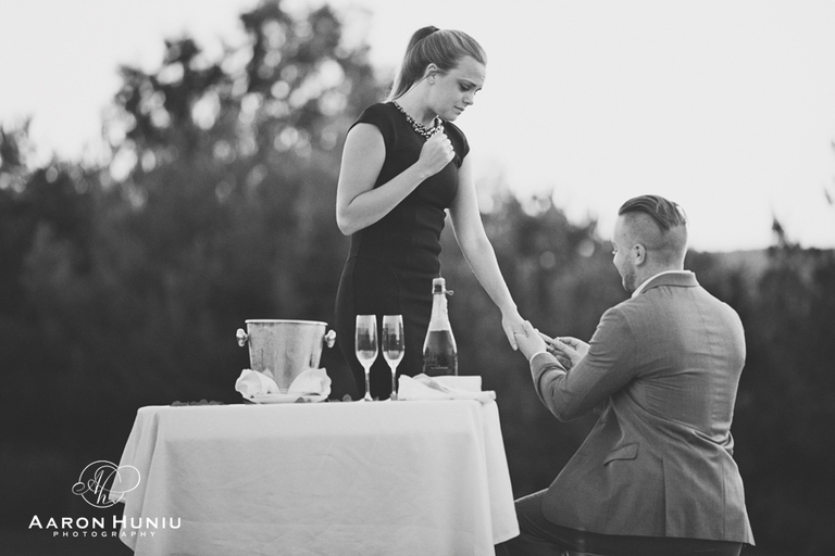 Dolan_Proposal_FACEBOOK_06