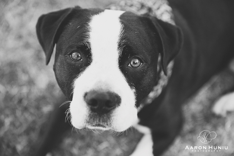 Walnut_Creek_Engagement_Session_Califonria_Wedding_Photographer_Bloom_18