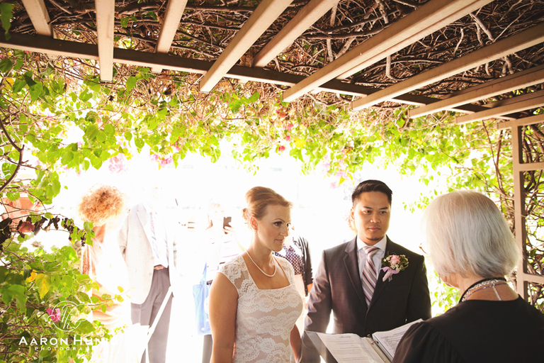 San_Diego_Courthouse_Wedding_Photographer_Denise_Joevert_25