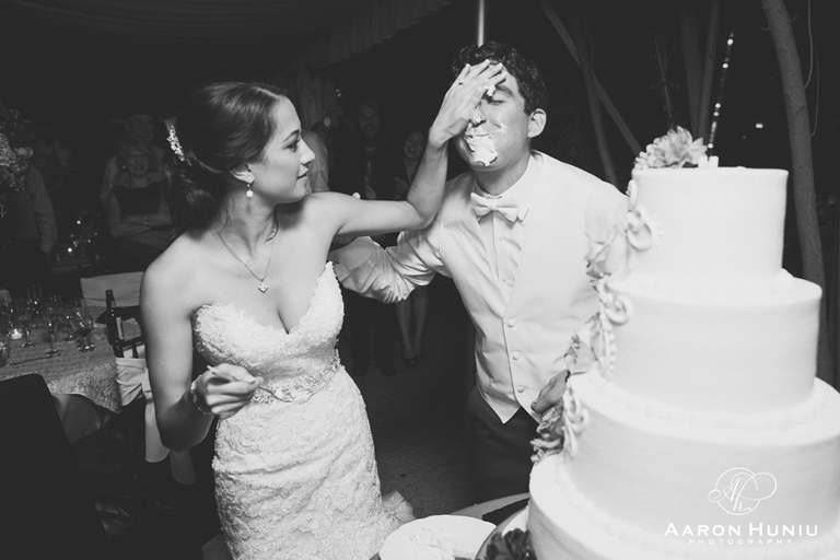 Twin_Oaks_Wedding_San_Marcos_San_Diego_Photographer_Renee_Nick_094