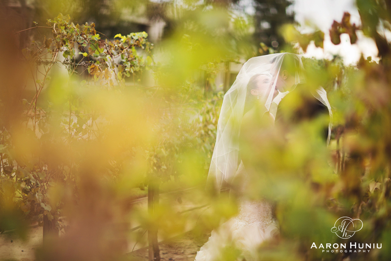 Promenade_and_Gardens_Turnip_Rose_Costa_Mesa_Wedding_Photographer_Becky_Chato_42