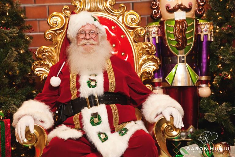 Holiday_Wonderland_Petco_Park_2015_Royal_Entertainers_13