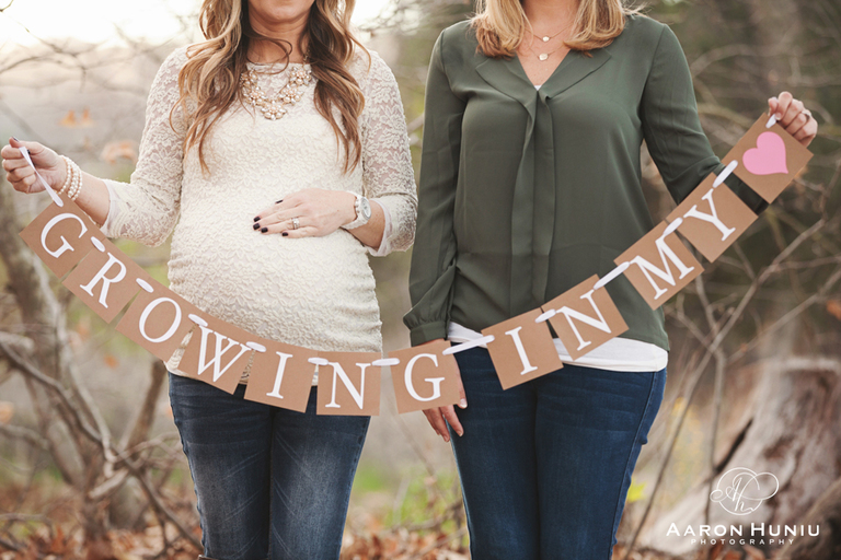 Surrogate_Maternity_Session_San_Diego_Photographer_Bonnie_Kent_08