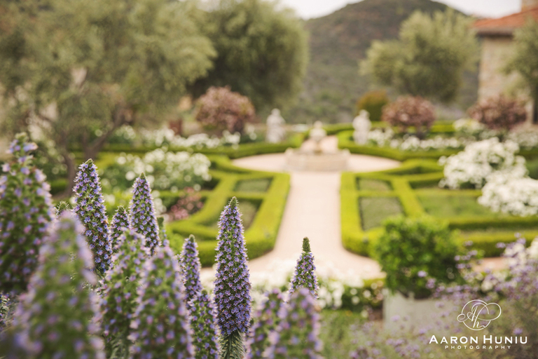 San_Diego_Maternity_Session_Elizabeth_JP_Cal-a-Vie_012