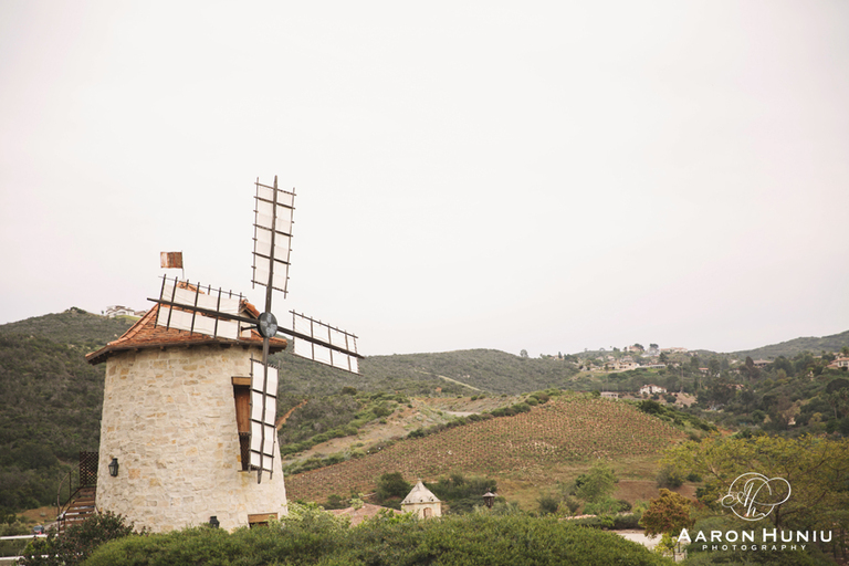 San_Diego_Maternity_Session_Elizabeth_JP_Cal-a-Vie_028
