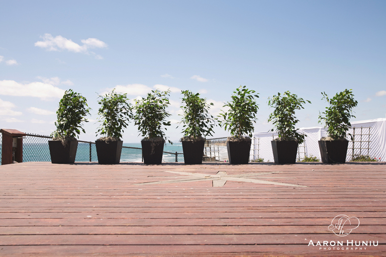 Carlsbad_Seapointe_San_Diego_Wedding_Photographer_Jennifer_Jim_14