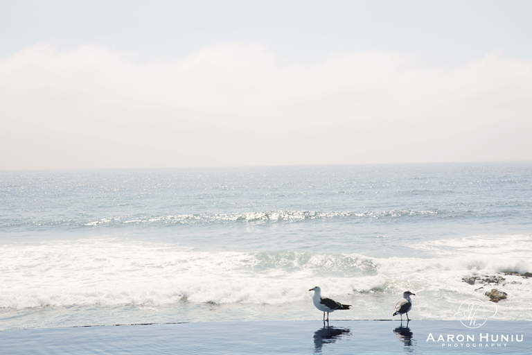 villa_del_paraiso_wedding_photographer_rosarito_baja_karo_javier_13
